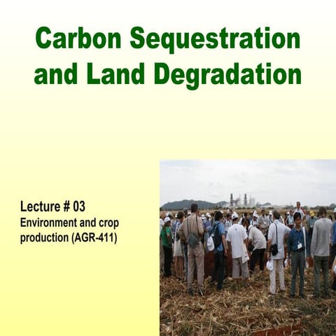 Carbon Sequestration and Land Degradation