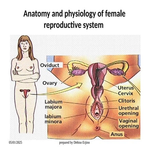 lecture 2.pptxIOHHHHHHHHHHHHHHHHHHHHHHHHHHHHHHHHHHH