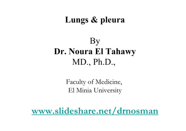 Lecture 3 lungs & pleura