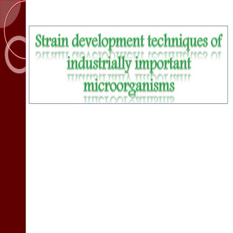 Strain development techniques of industrially important microorganisms
