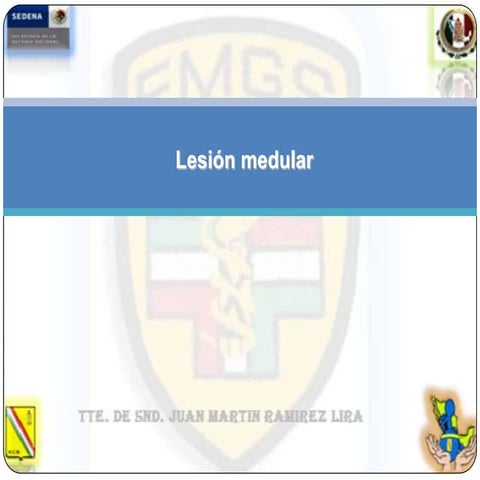 Lesión medular neuro