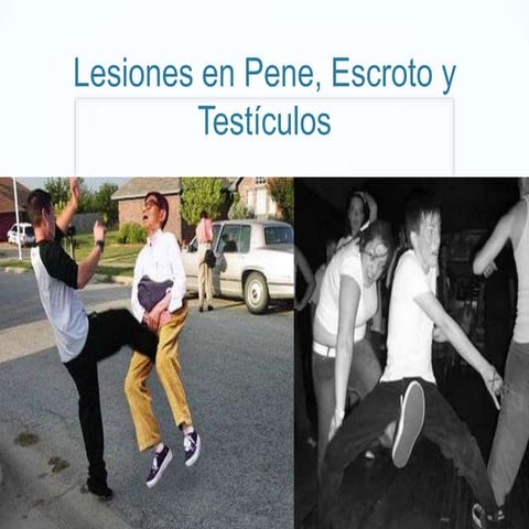 Lesión peneescrototestículo