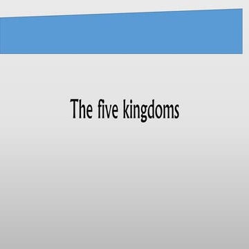 The Five Kingdoms