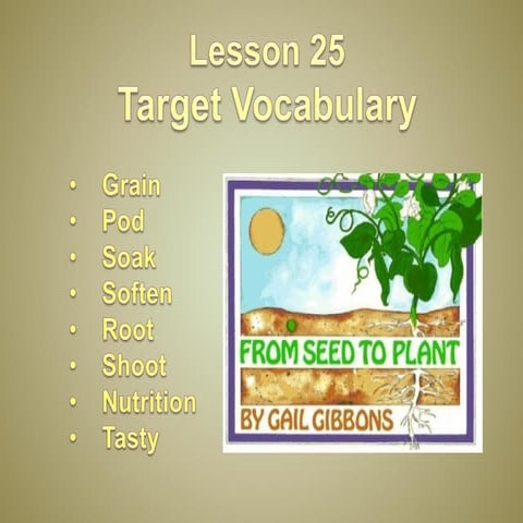 Lesson 25 - From Seed to Plant - 4th basic