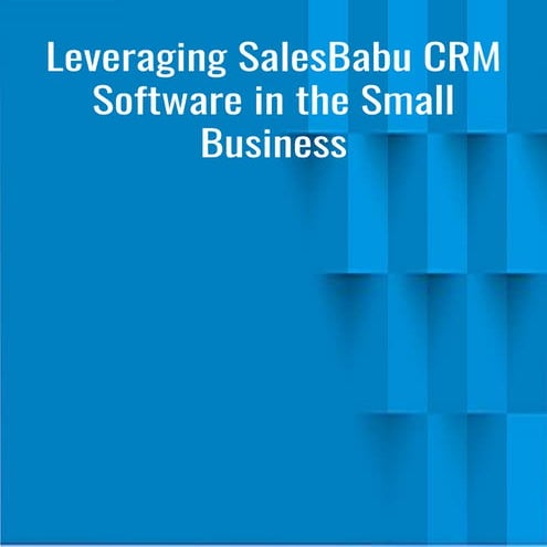 Leveraging sales babu crm software in the small business (1)