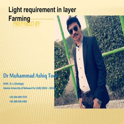Light requirement in layer Farming