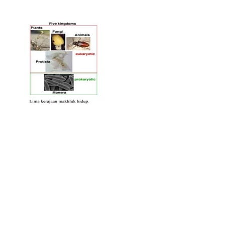 Lima kerajaan makhluk hidup