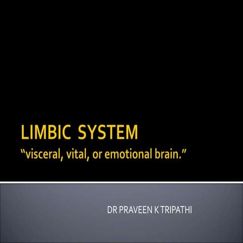 Limbic system brain