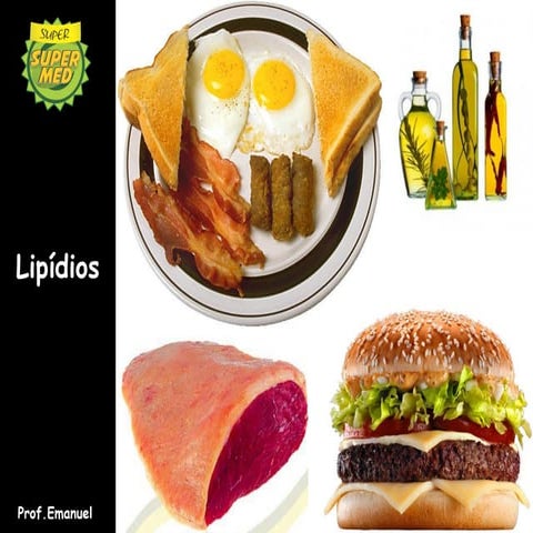 Lipídios
