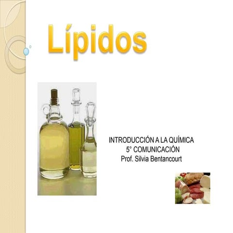 Lipidos