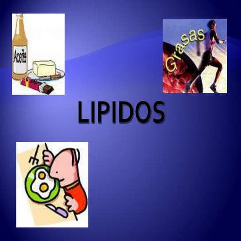 Lipidos  alr