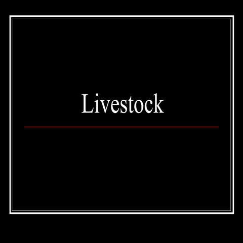 Livestock