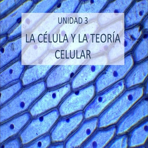 Presentación Tema 3. La célula y la teoría celular