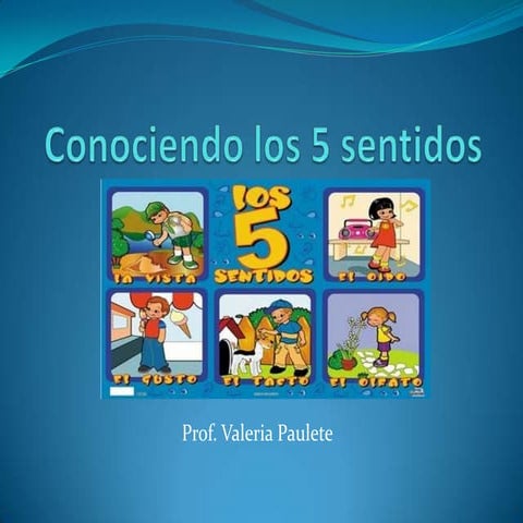 Los 5 sentidos