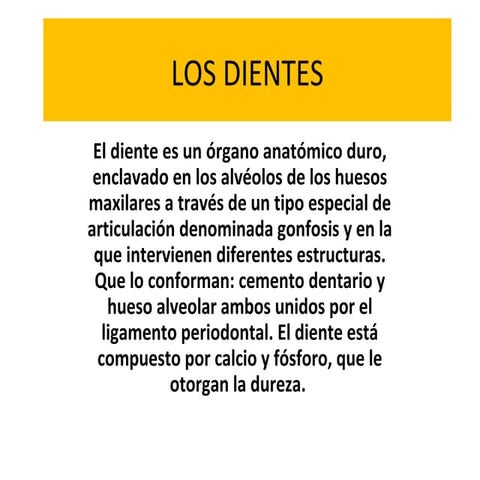 Los dientes