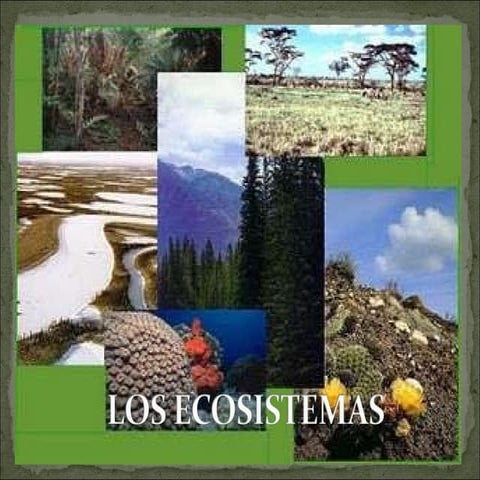 Los ecosistemas