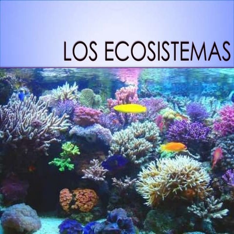 Los ecosistemas