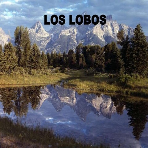 Los lobos