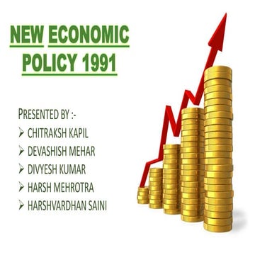 The New Economic Policy 1991