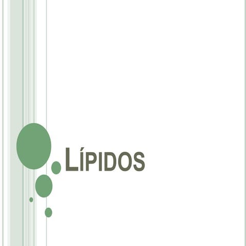 Lípidos