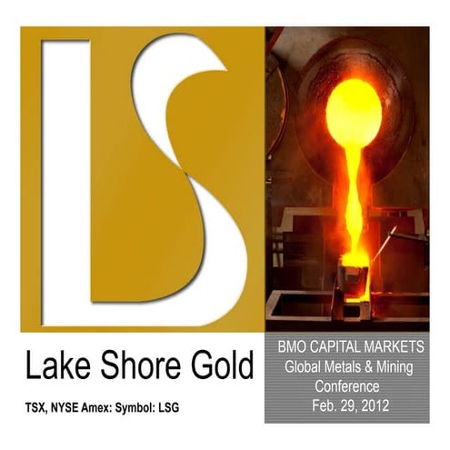 BMO Conference Presentation February 29 2012