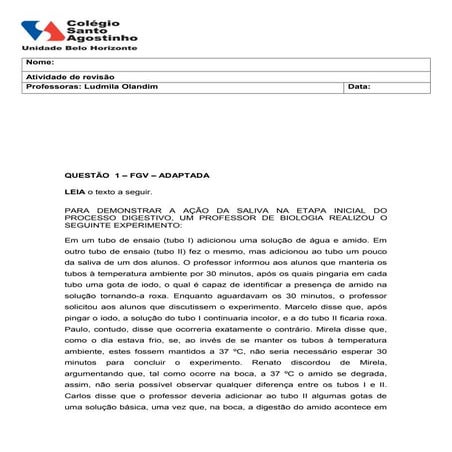 Ludmila   8ano - revisão - 07.08