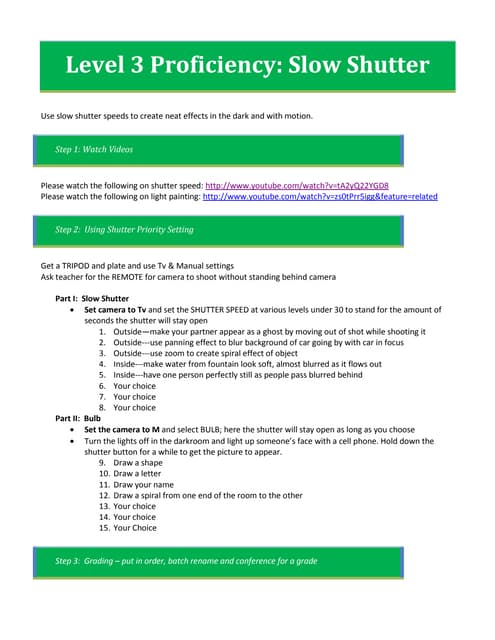 Lv3 prof slow ss bulb