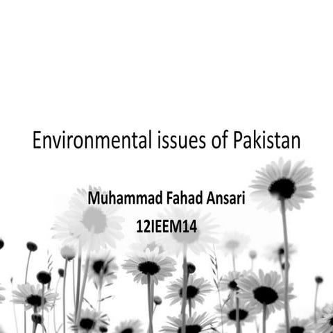Environmental issues of Pakistan by By MUHAMMAD FAHAD ANSARI 12 IEEM 14