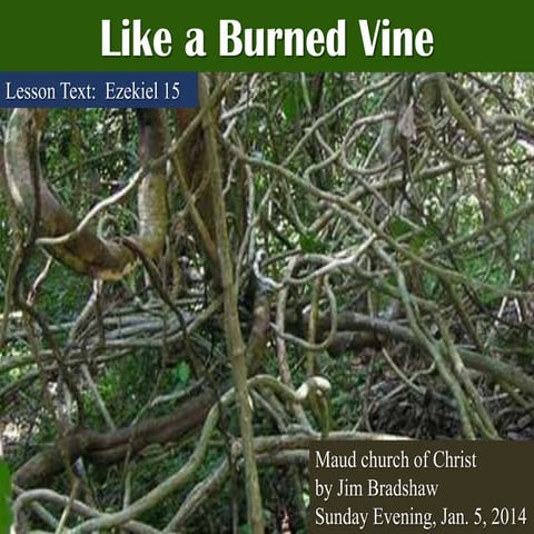 M2014 s2 like a burned vine 1 5-14 sermon