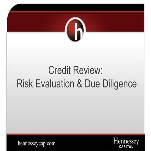 Credit Review: Risk Evaluation & Due Diligence