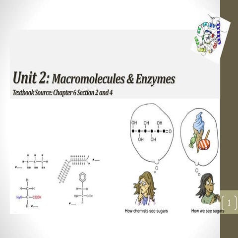 Macromolecules and enzymes ppt notes