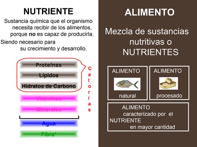 Macronutriente y micronutrientes