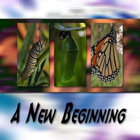 New Beginning 5: Make Changes