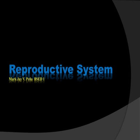Male rep. system