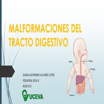 Malformaciones del tracto digestivo