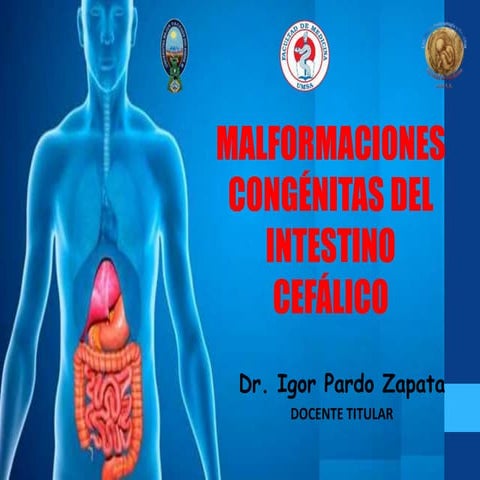 Malformaciones congénitas del  intestino anterior. Dr. Igor Pardo Zapata  2017