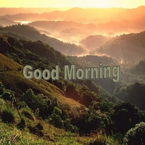 Malocclusion indices