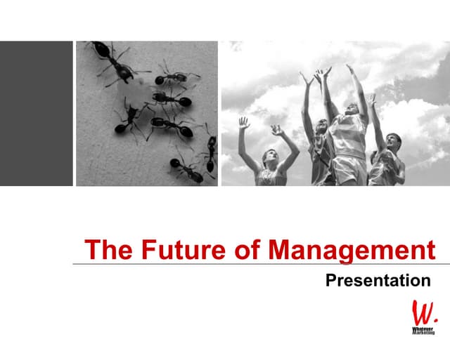 Management Innovation