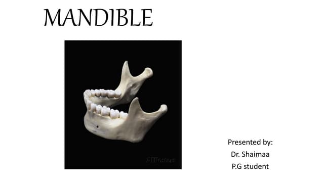 Mandible