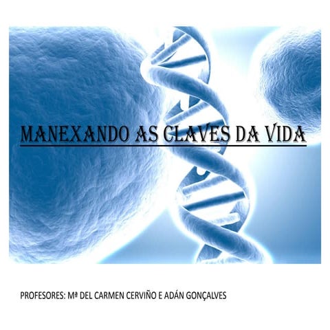 Manexando as claves da vida