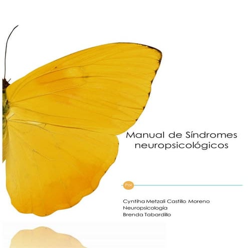 Manual de síndromes neuropsicológicos