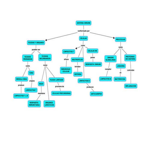 Mapa conceptual   sistema inmune