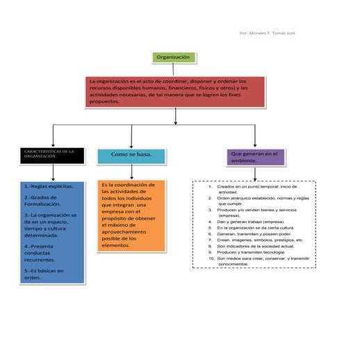 Mapa conceptual de organizacion