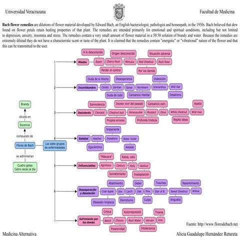 Flores de Bach: Mapa conceptual