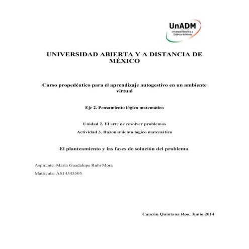 El planteamiento y las fases de solución del problema.