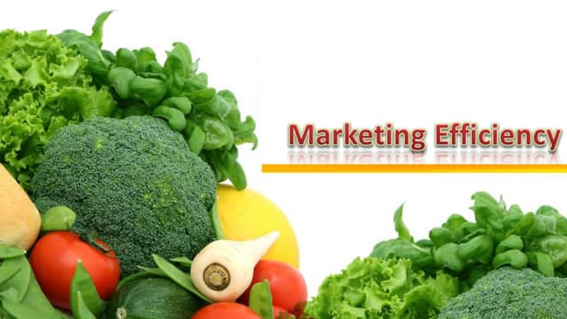 Marketing efficiency, Market margin and Marketing cost
