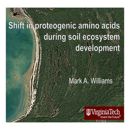 Peptide/Protein Stabilization and C and N Sequestration in Soils: Contributio...