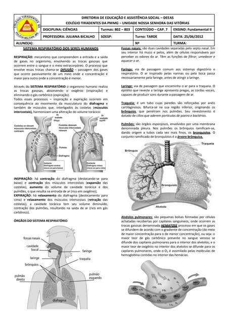 Matéria 8o ano sist respiratório 2012