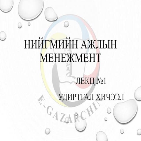 нийгмийн ажлын менежмент Lekts 1