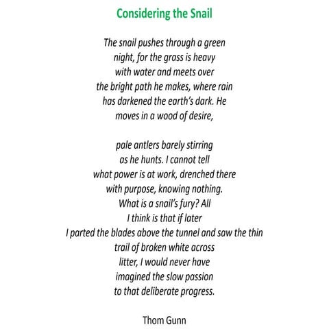 Mdp 511 2012 organizations in development - session 1